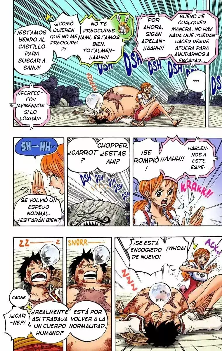 One Piece capítulo 843.5 página 10