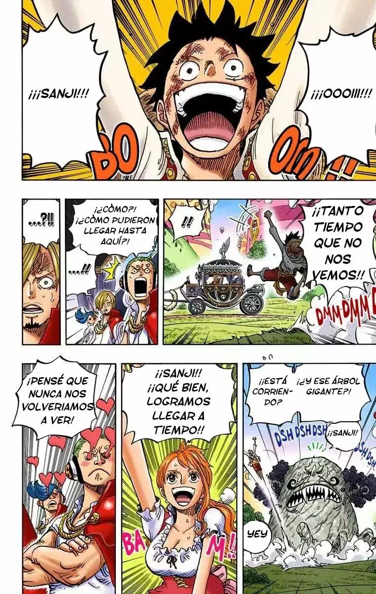 One Piece capítulo 843.5 página 12
