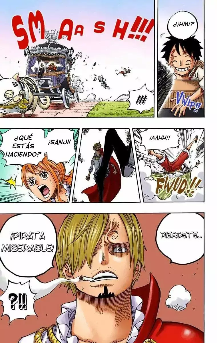One Piece capítulo 843.5 página 15