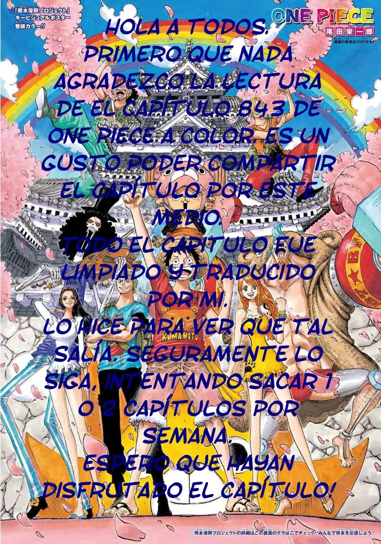 One Piece capítulo 843.5 página 18