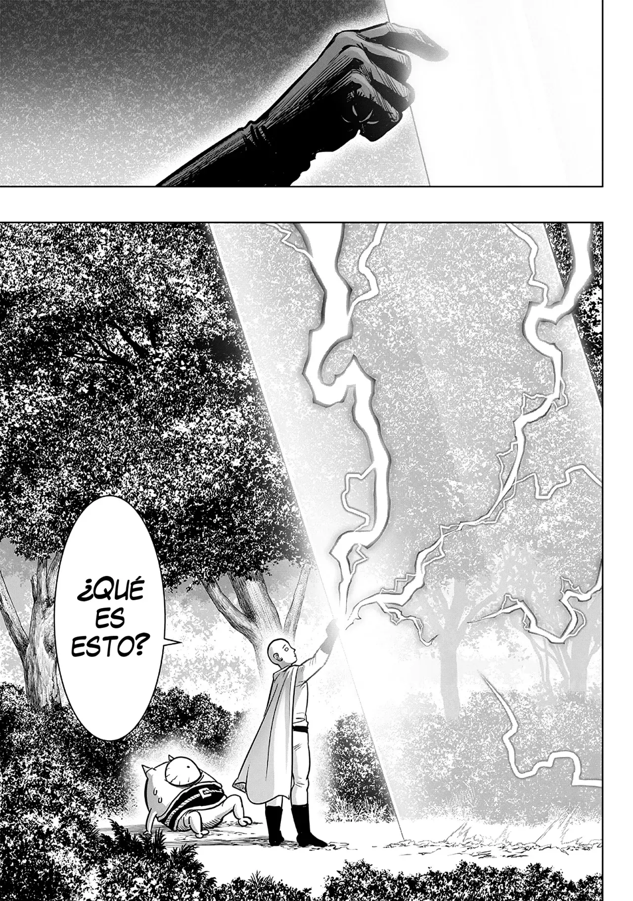 One Punch-Man capítulo 252 página 12