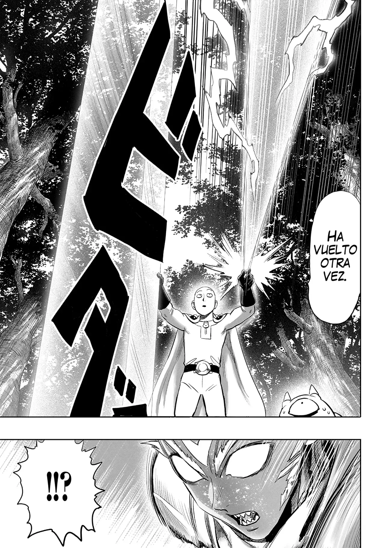 One Punch-Man capítulo 252 página 14