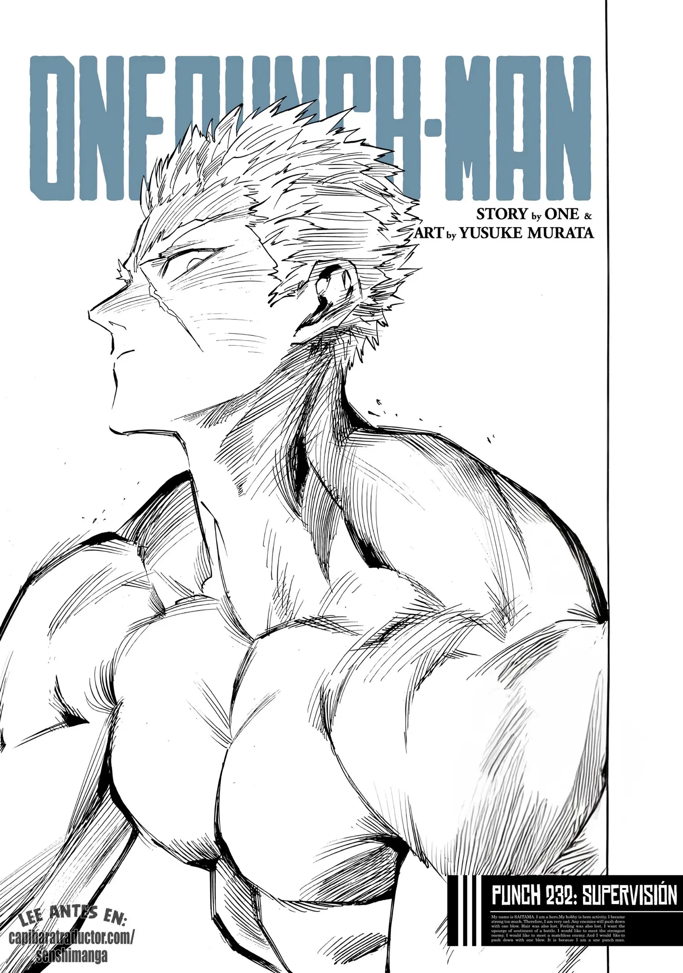 One Punch-Man capítulo 293 página 1