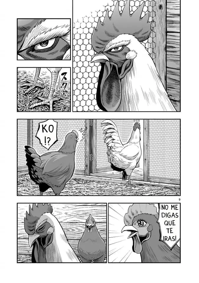 Rooster Fighter capítulo 1 página 9