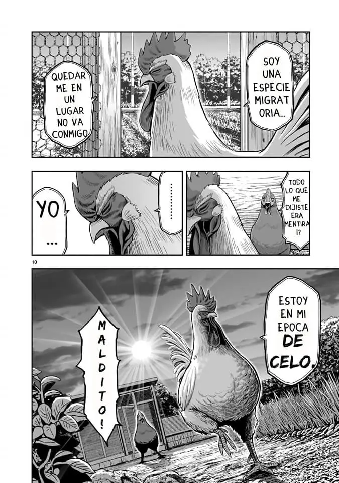 Rooster Fighter capítulo 1 página 10