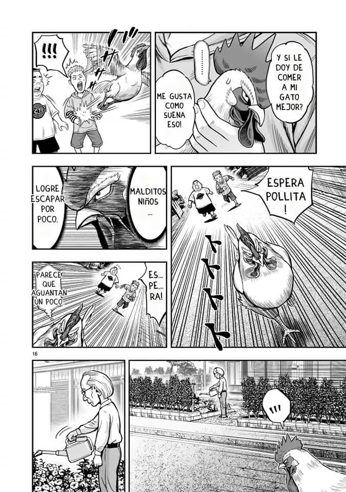 Rooster Fighter capítulo 1 página 16