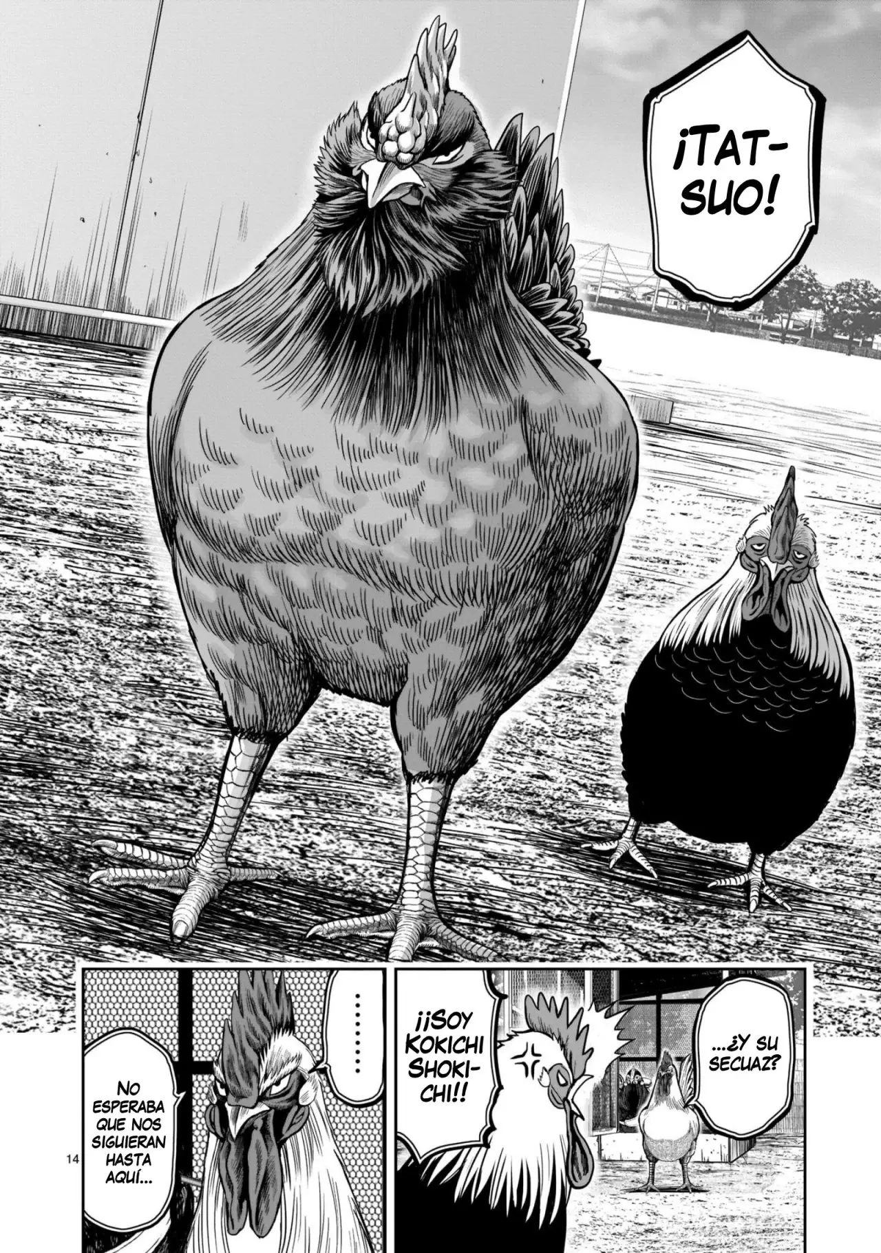 Rooster Fighter capítulo 11 página 15