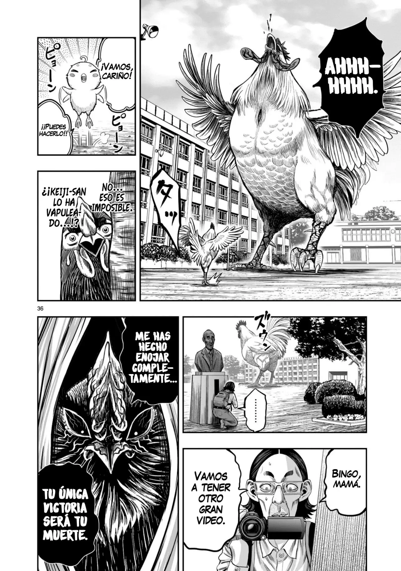 Rooster Fighter capítulo 11 página 37