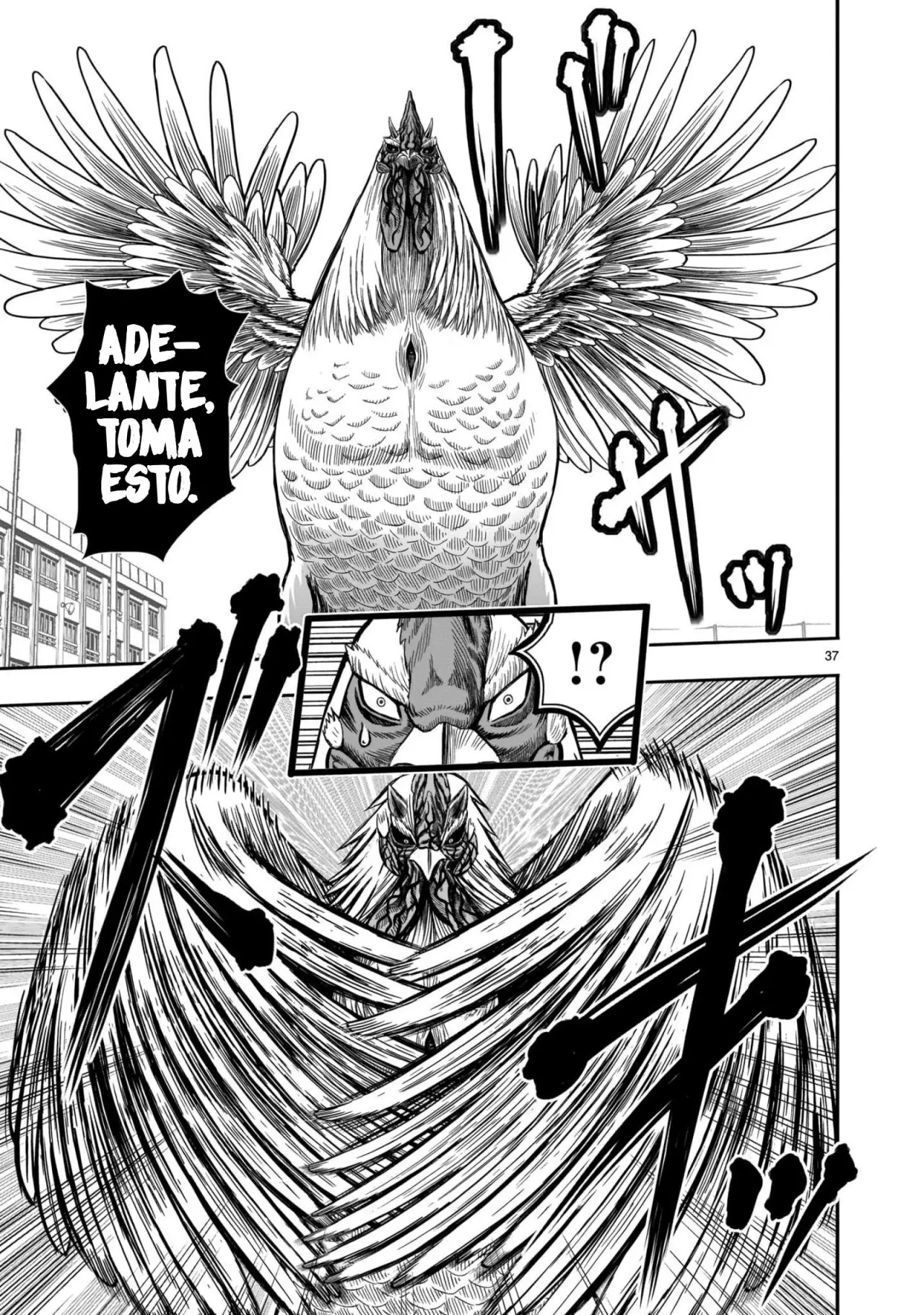 Rooster Fighter capítulo 11 página 38