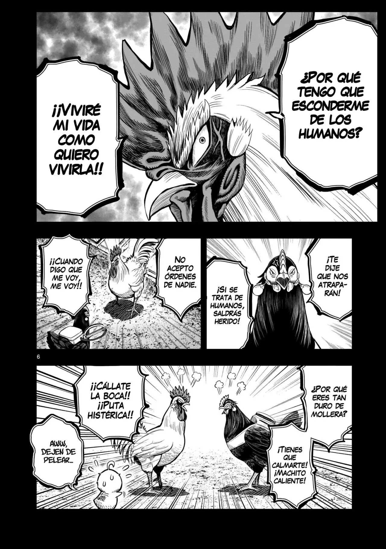 Rooster Fighter capítulo 12 página 8