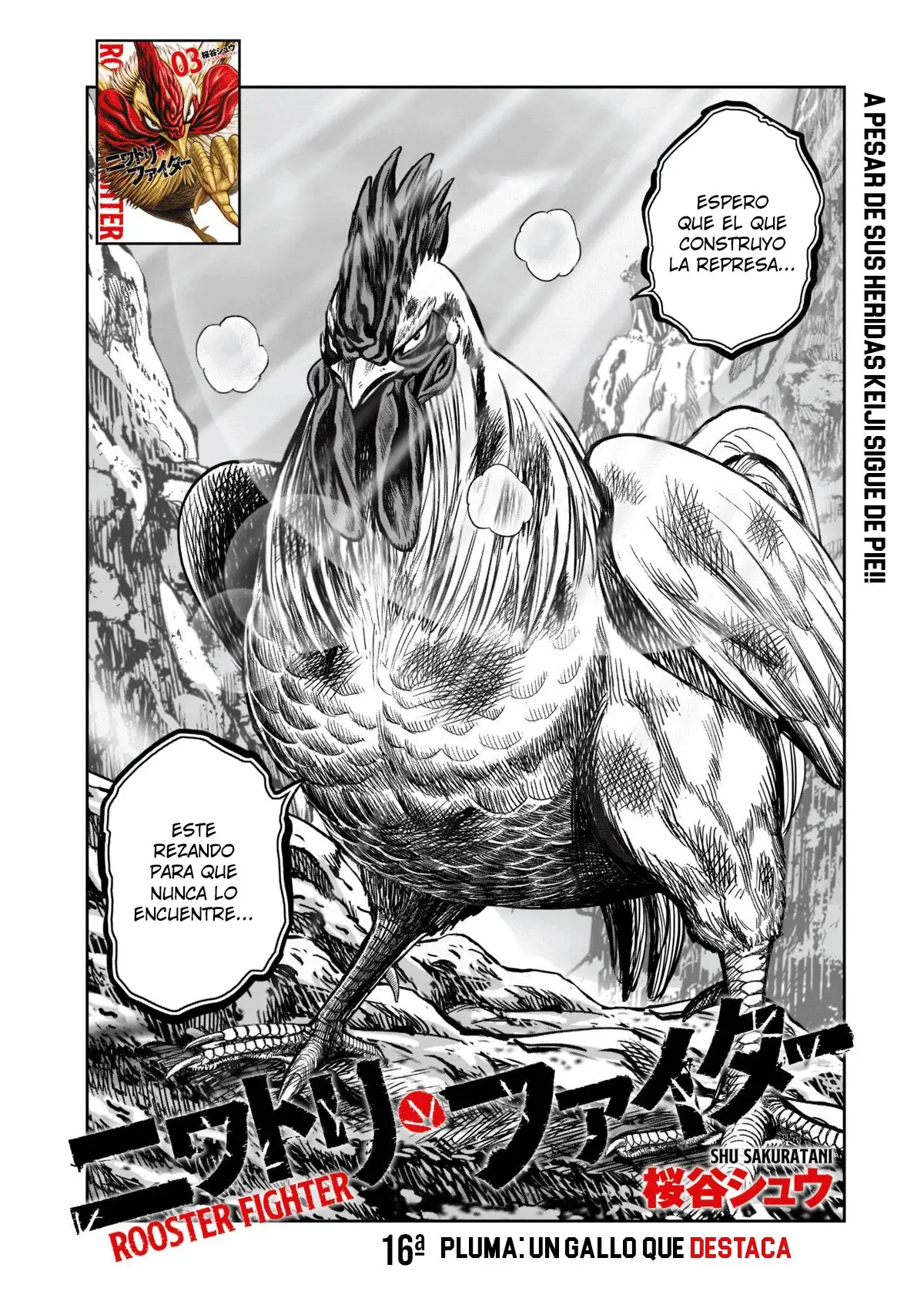 Rooster Fighter capítulo 16 página 4
