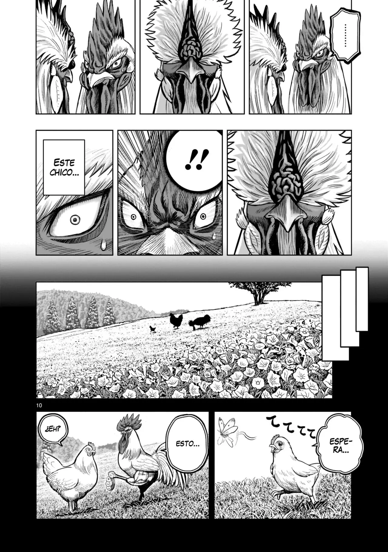 Rooster Fighter capítulo 19 página 11
