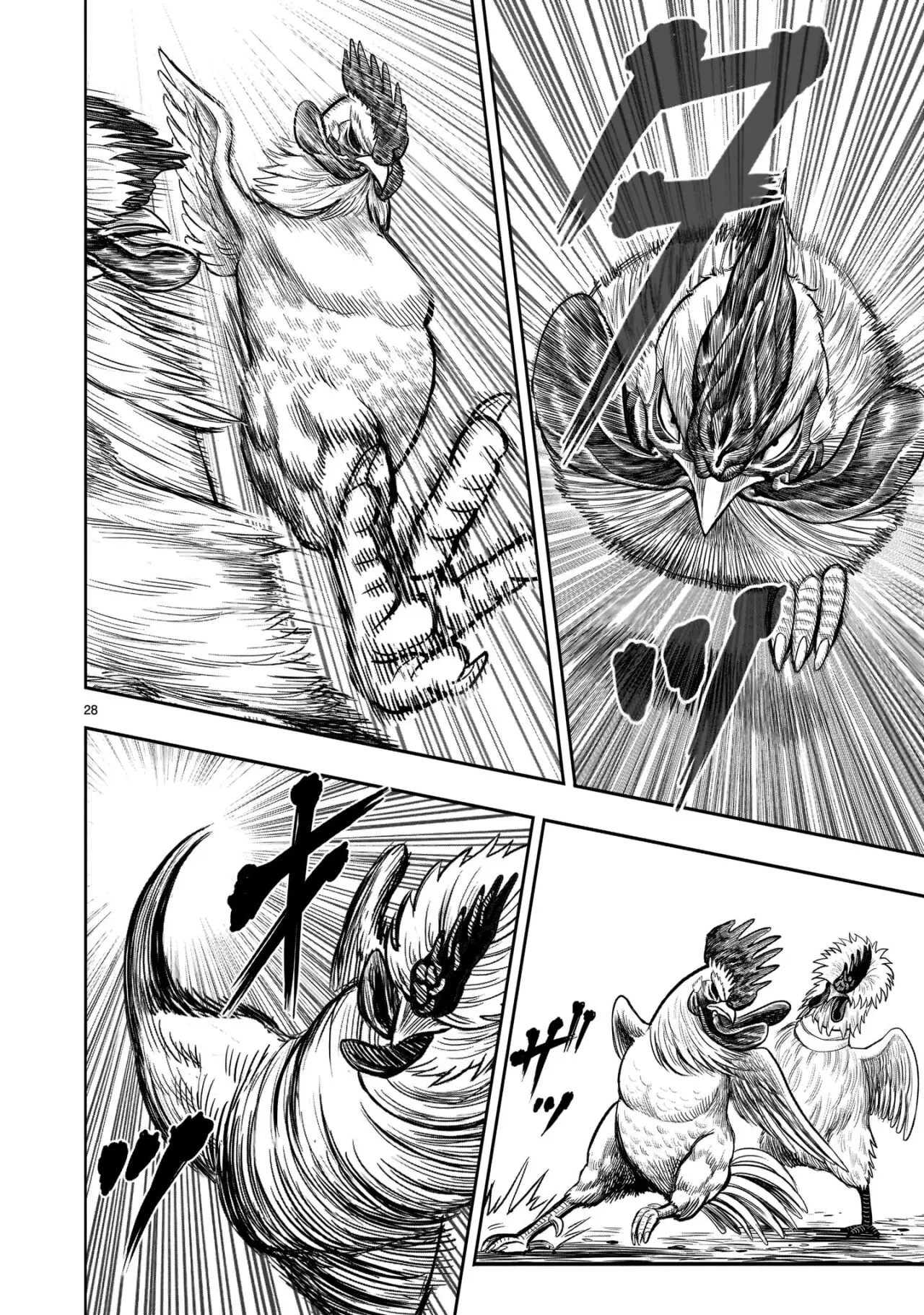 Rooster Fighter capítulo 19 página 29