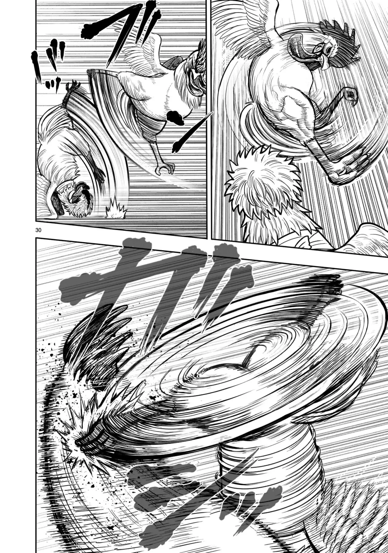 Rooster Fighter capítulo 19 página 31