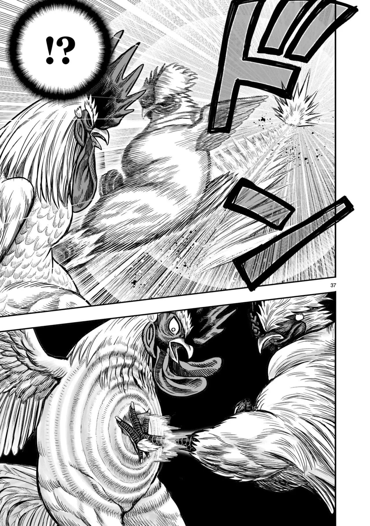 Rooster Fighter capítulo 19 página 38