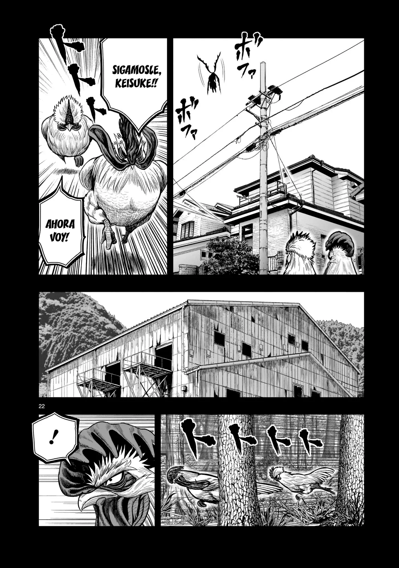 Rooster Fighter capítulo 20 página 24