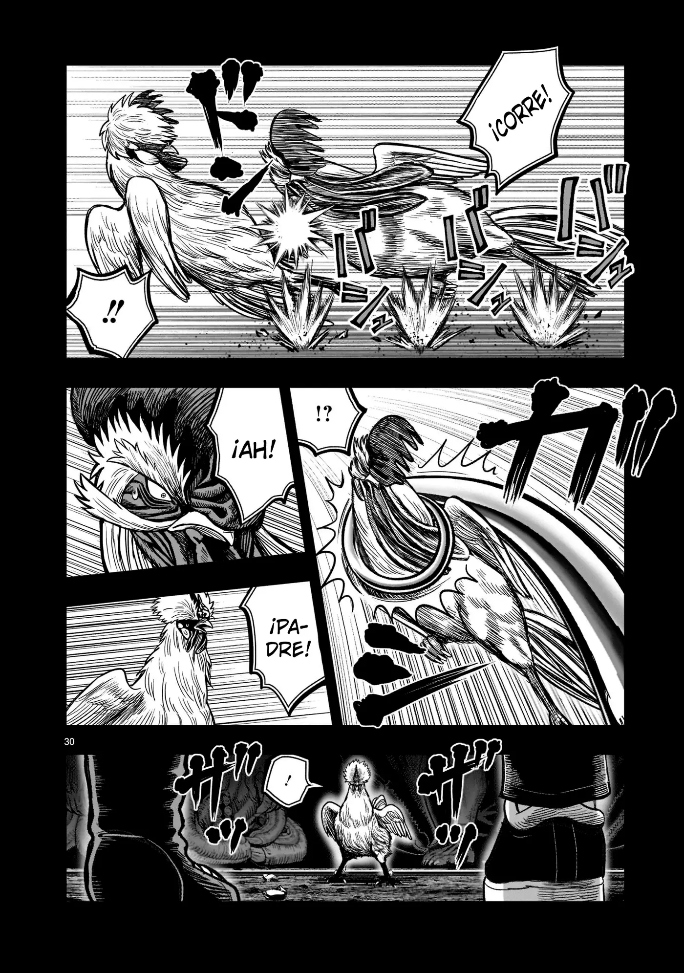 Rooster Fighter capítulo 20 página 31