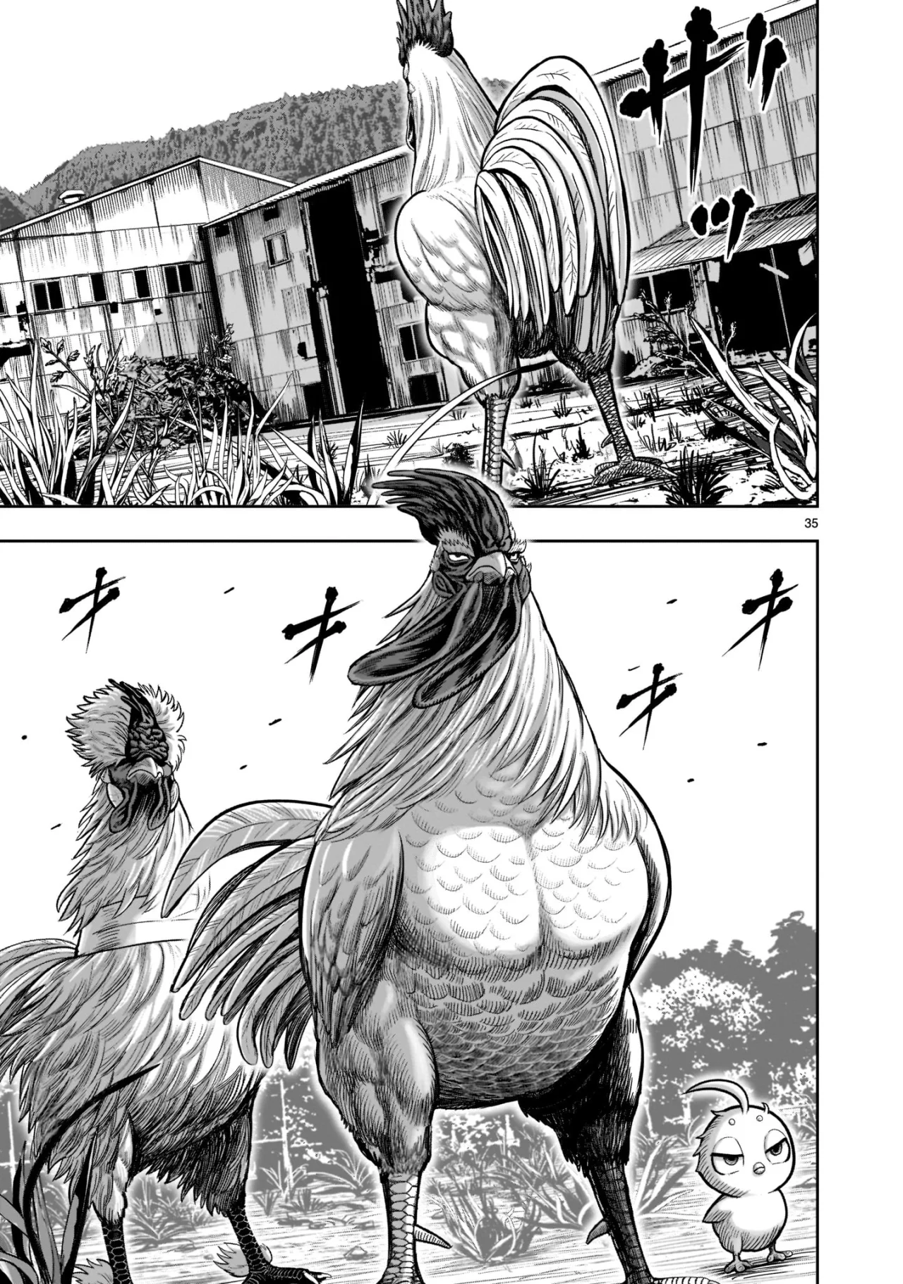 Rooster Fighter capítulo 21 página 36