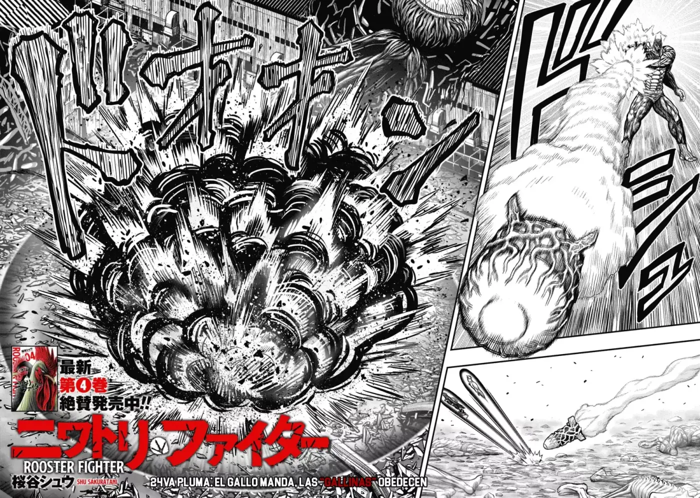 Rooster Fighter capítulo 24 página 6