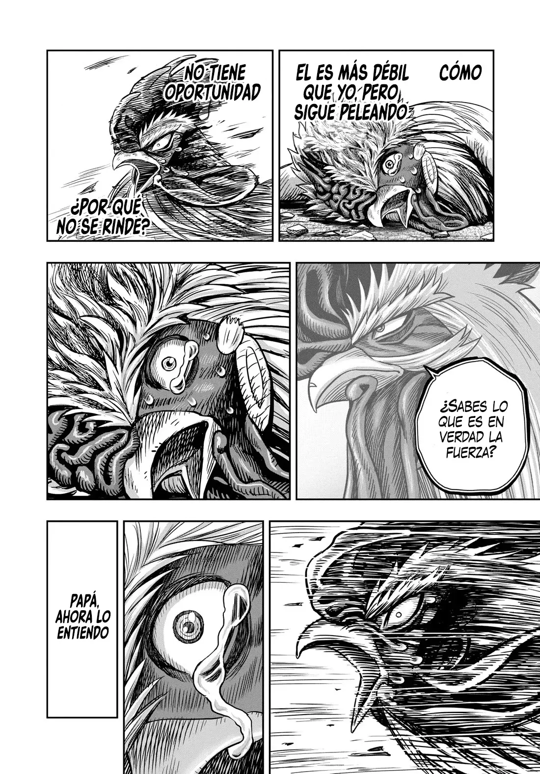 Rooster Fighter capítulo 27 página 44