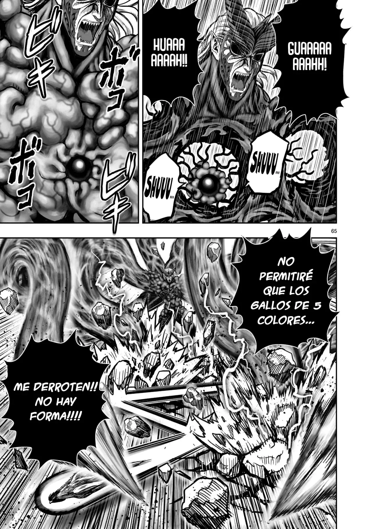 Rooster Fighter capítulo 29 página 67