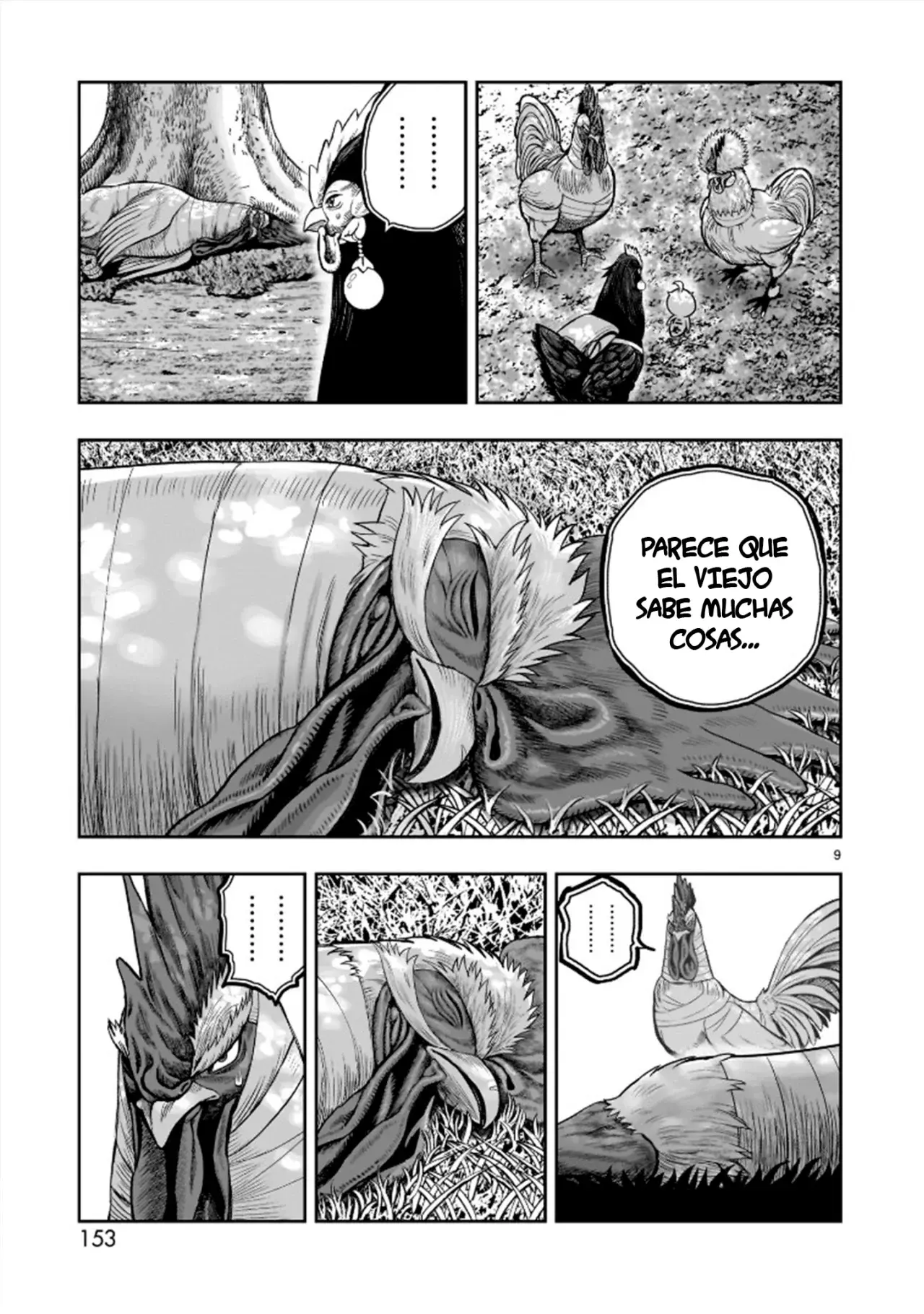 Rooster Fighter capítulo 31 página 13