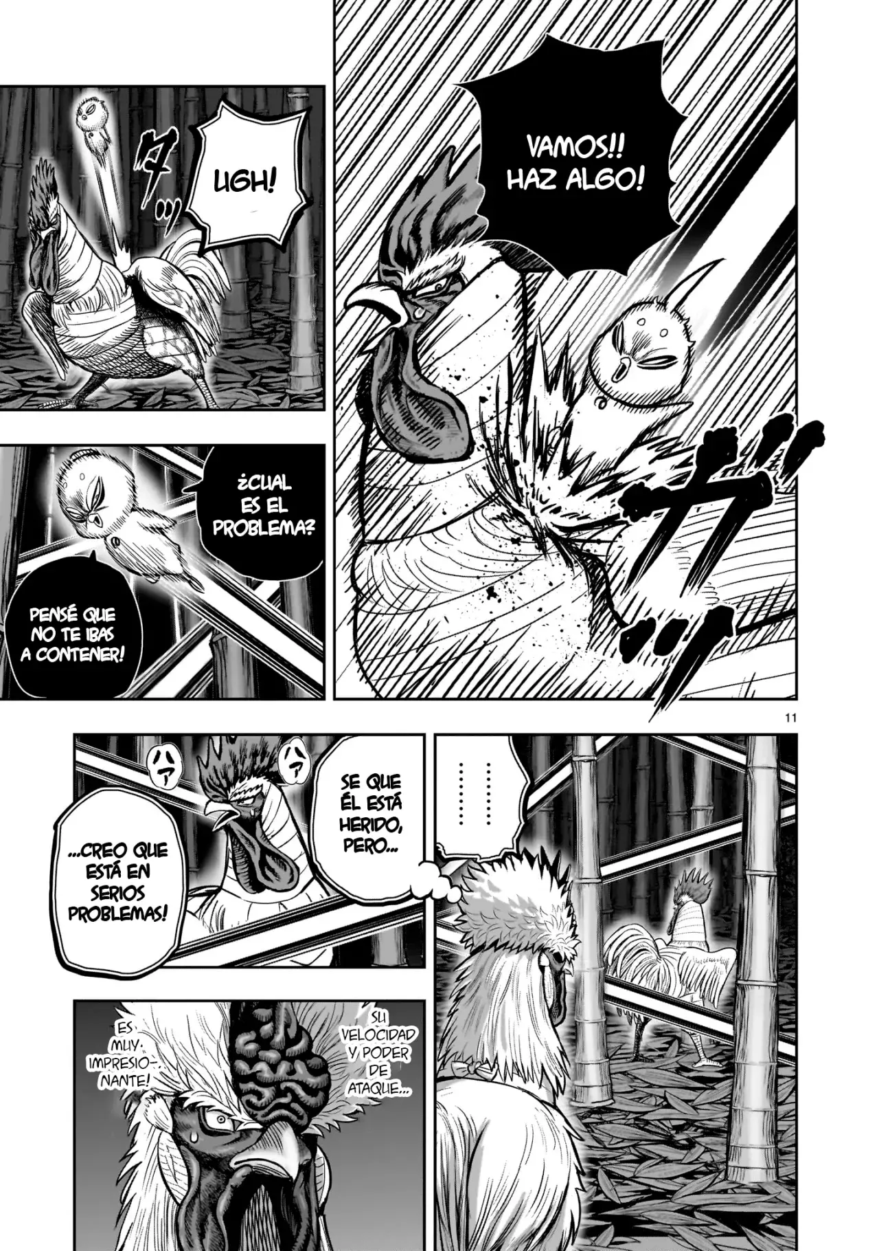 Rooster Fighter capítulo 33 página 14
