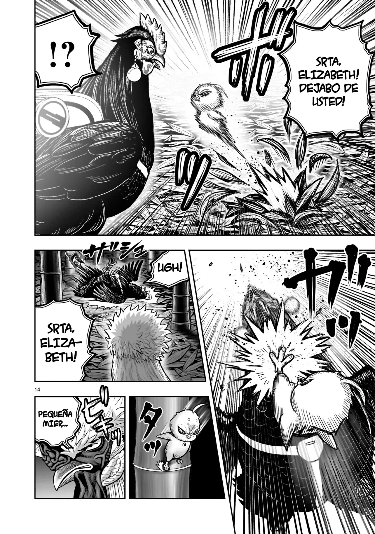 Rooster Fighter capítulo 33 página 17
