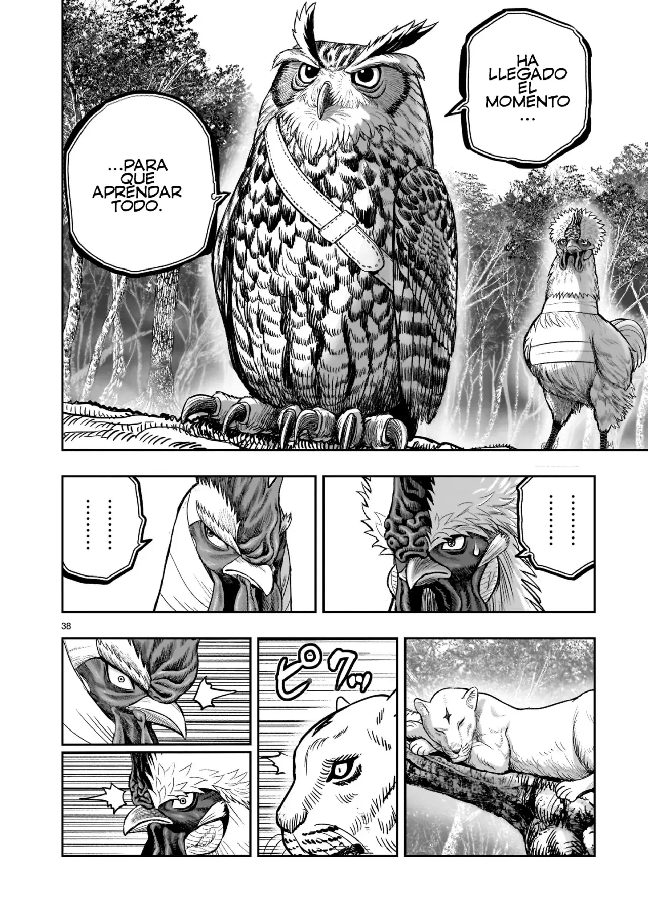 Rooster Fighter capítulo 38 página 42
