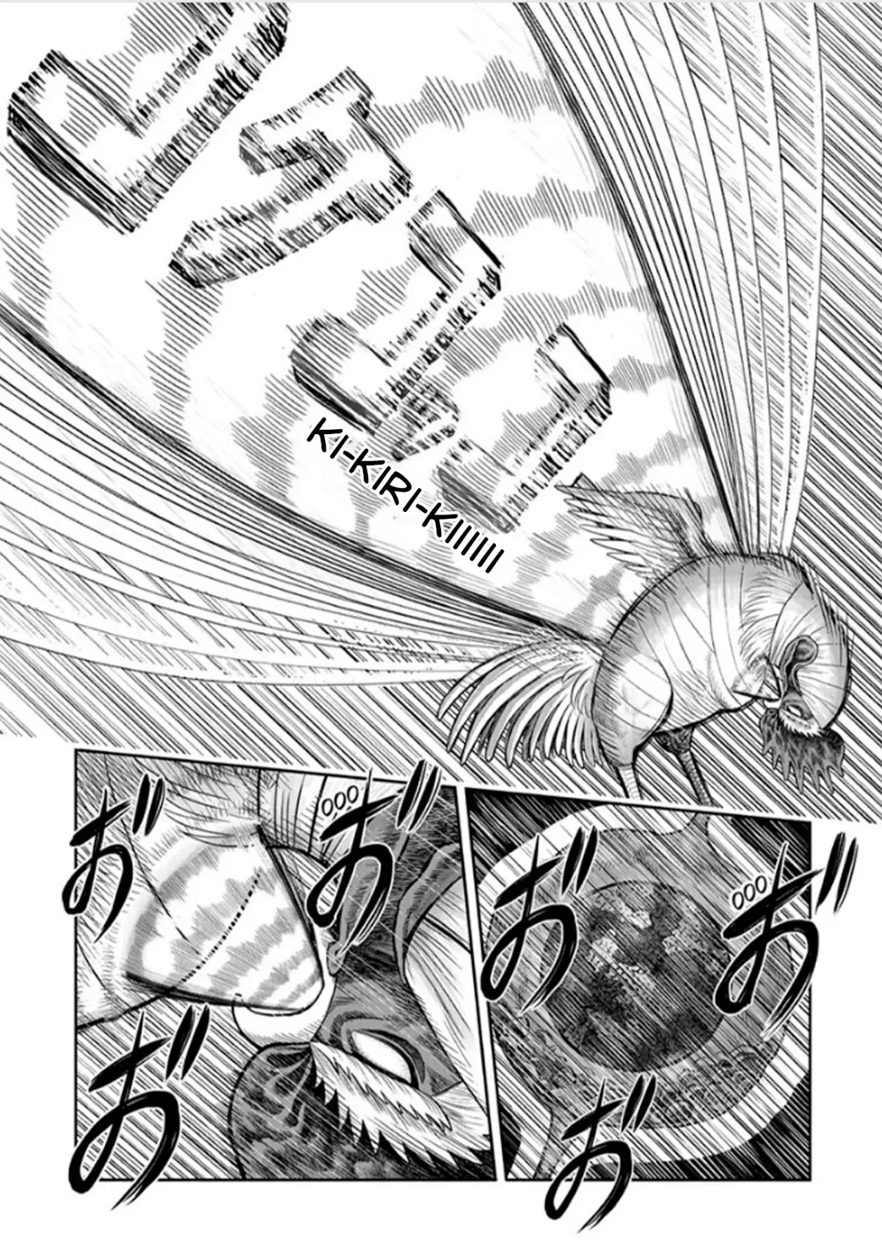 Rooster Fighter capítulo 49 página 11