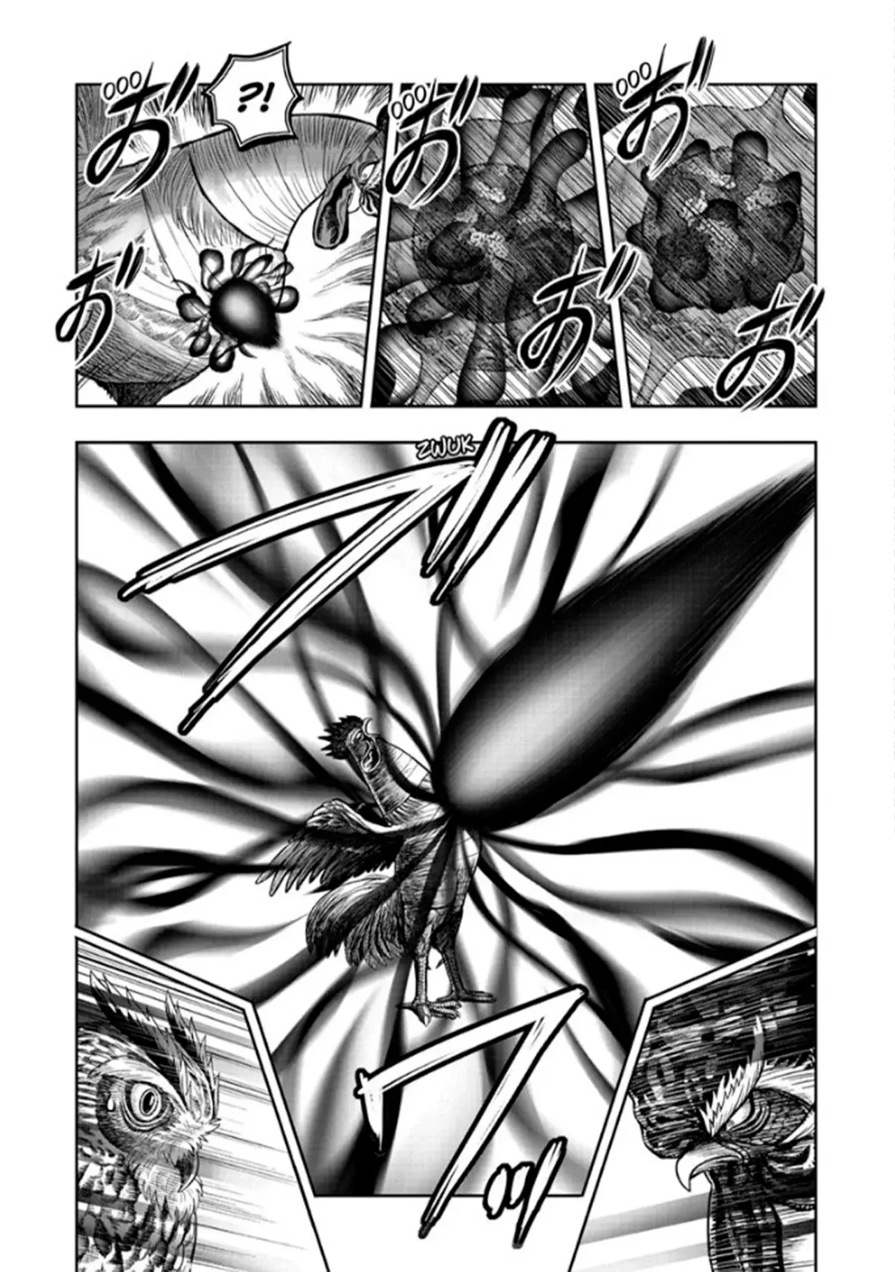 Rooster Fighter capítulo 49 página 12