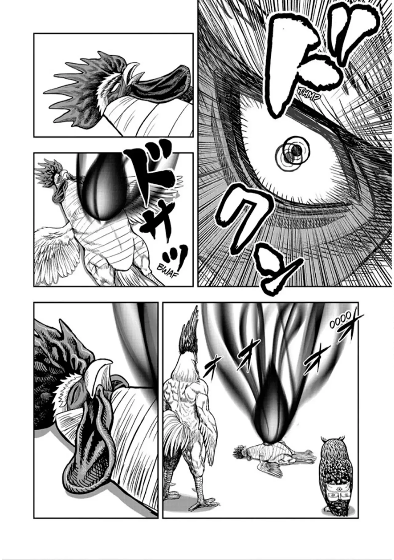 Rooster Fighter capítulo 49 página 13