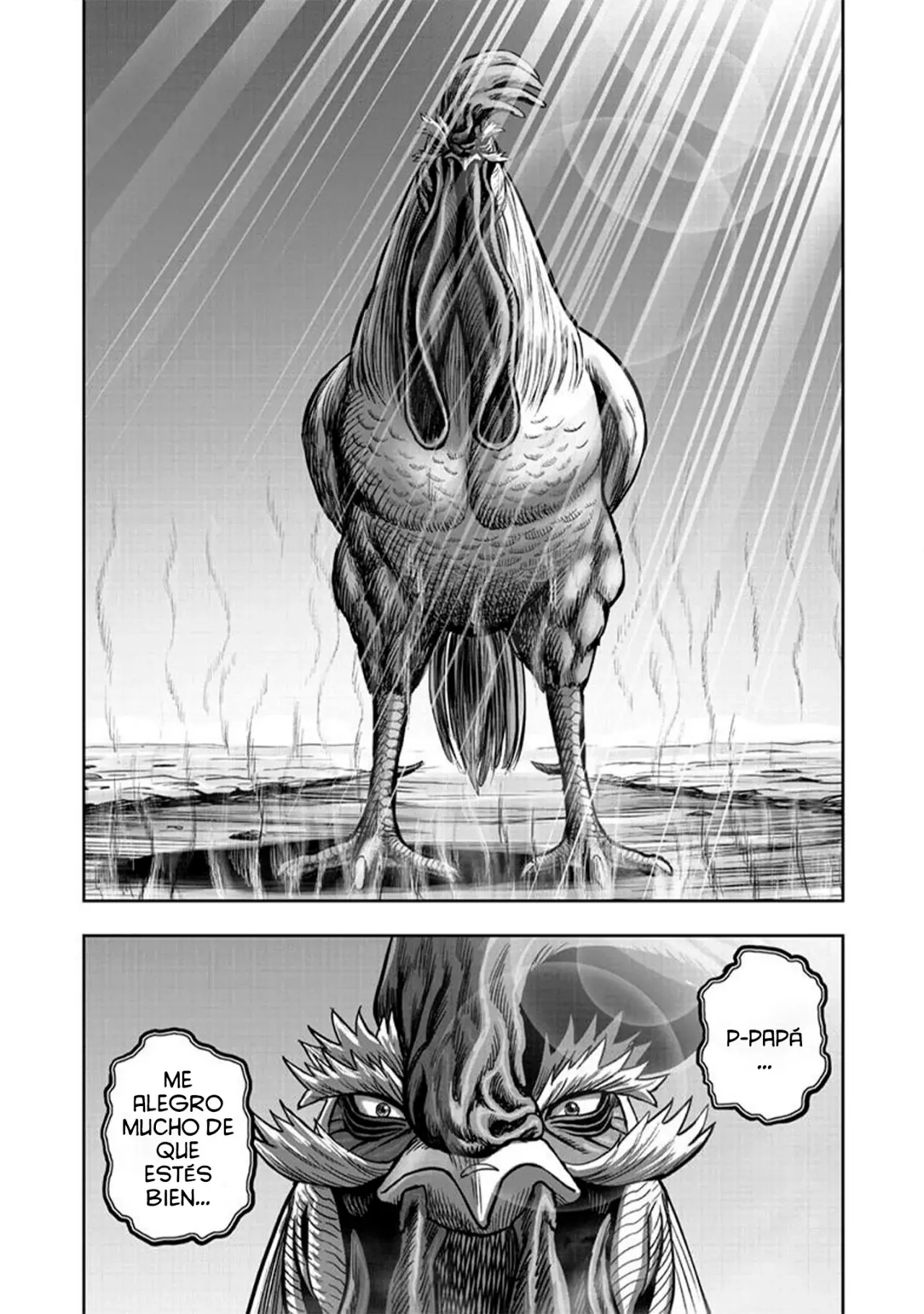 Rooster Fighter capítulo 50 página 36