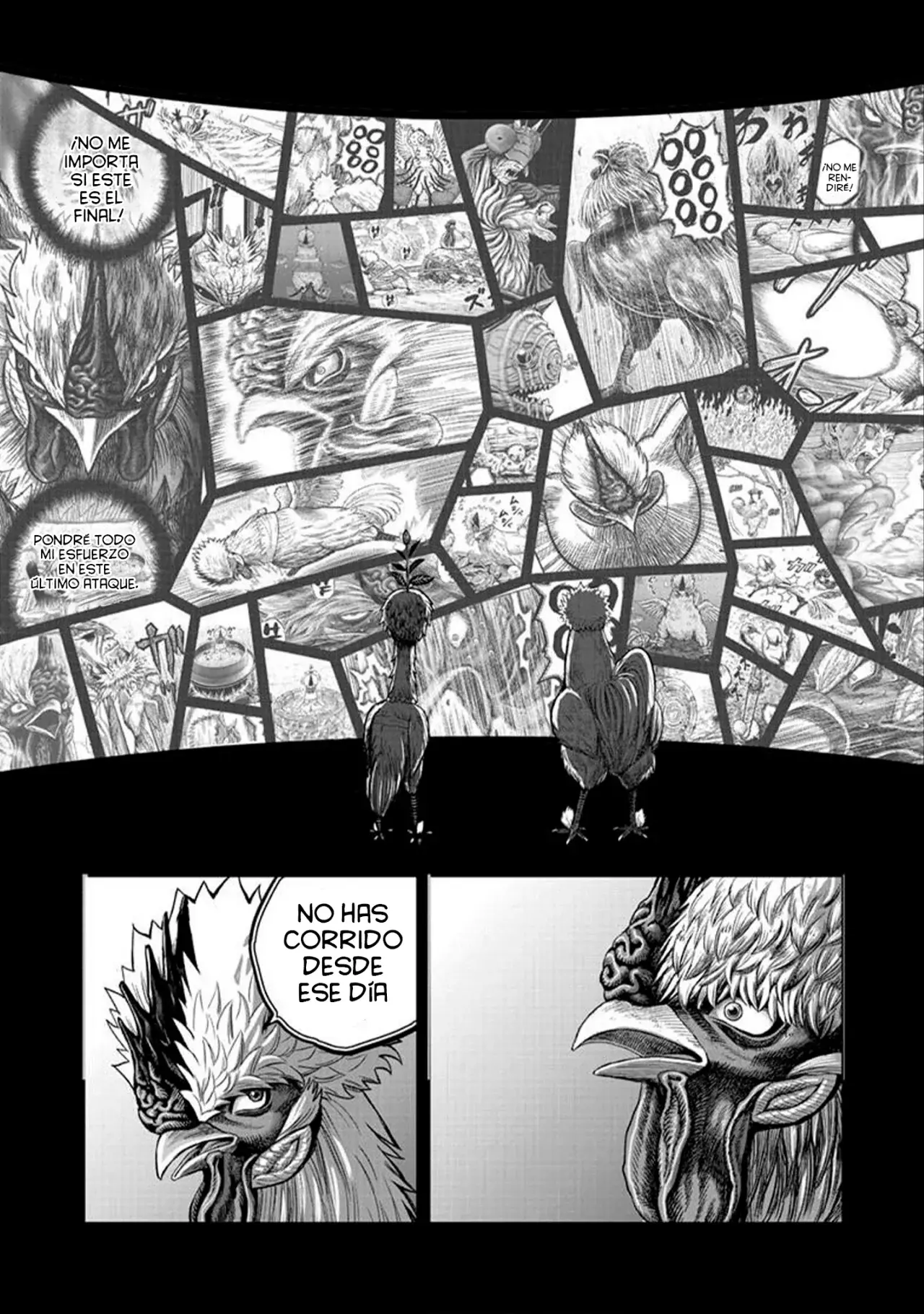 Rooster Fighter capítulo 50 página 48