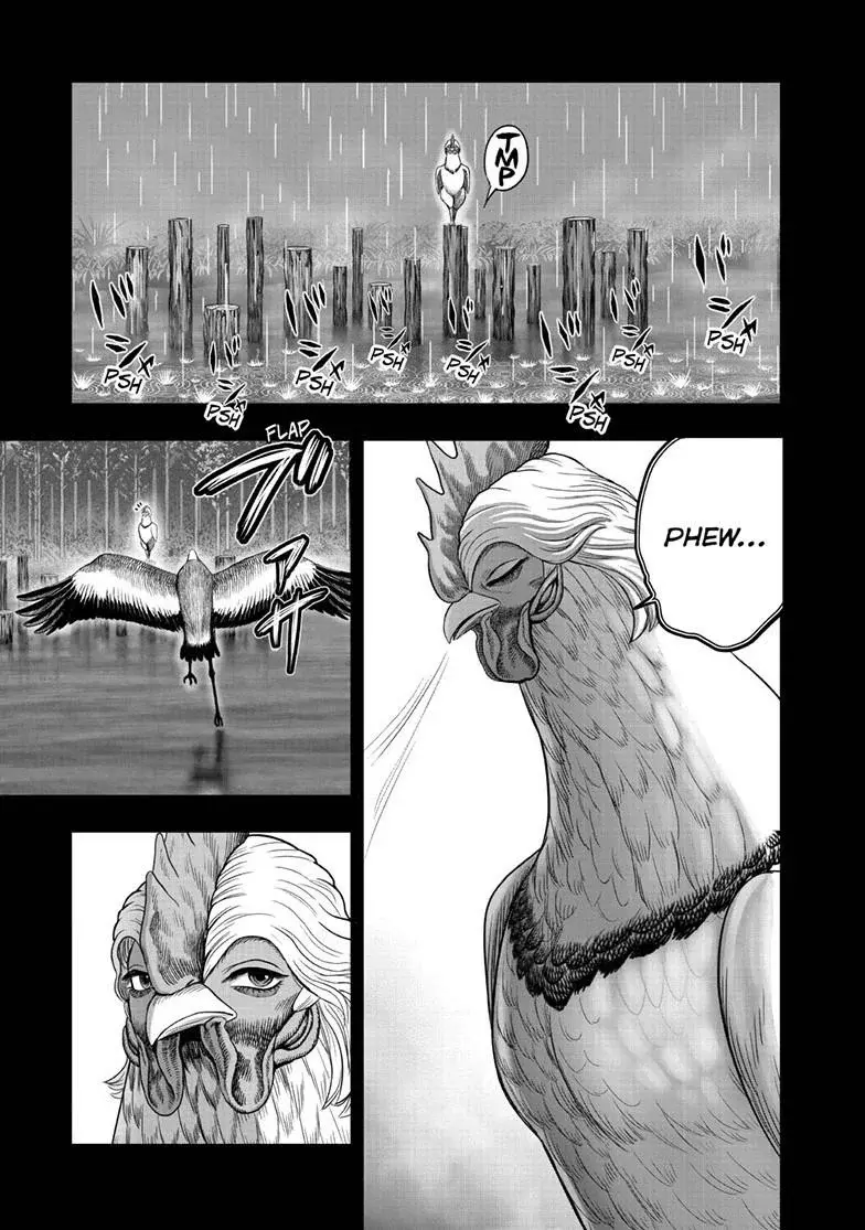 Rooster Fighter capítulo 51 página 21
