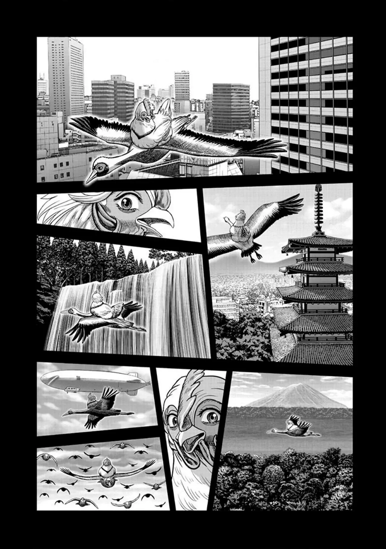 Rooster Fighter capítulo 51 página 42