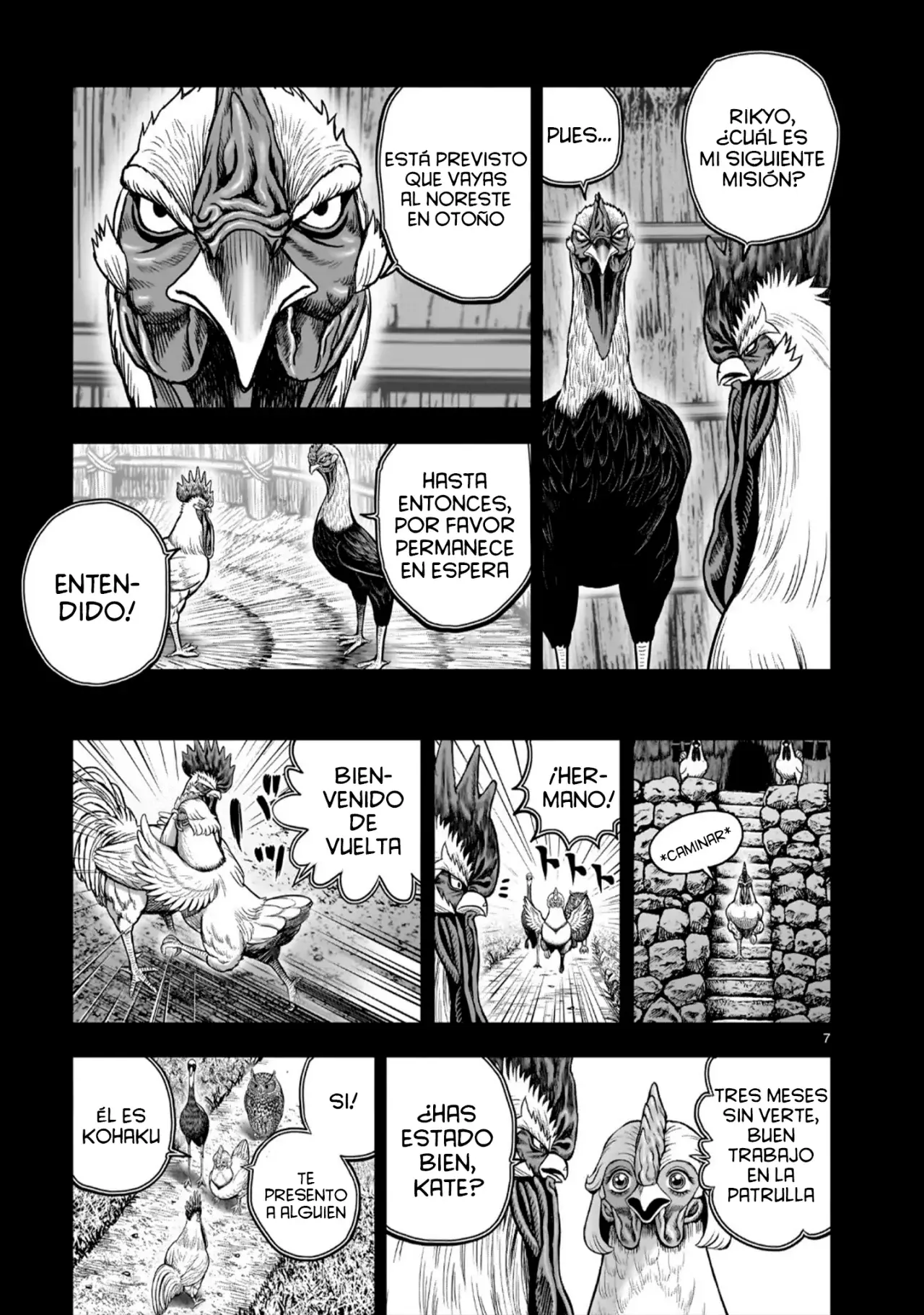 Rooster Fighter capítulo 52 página 11