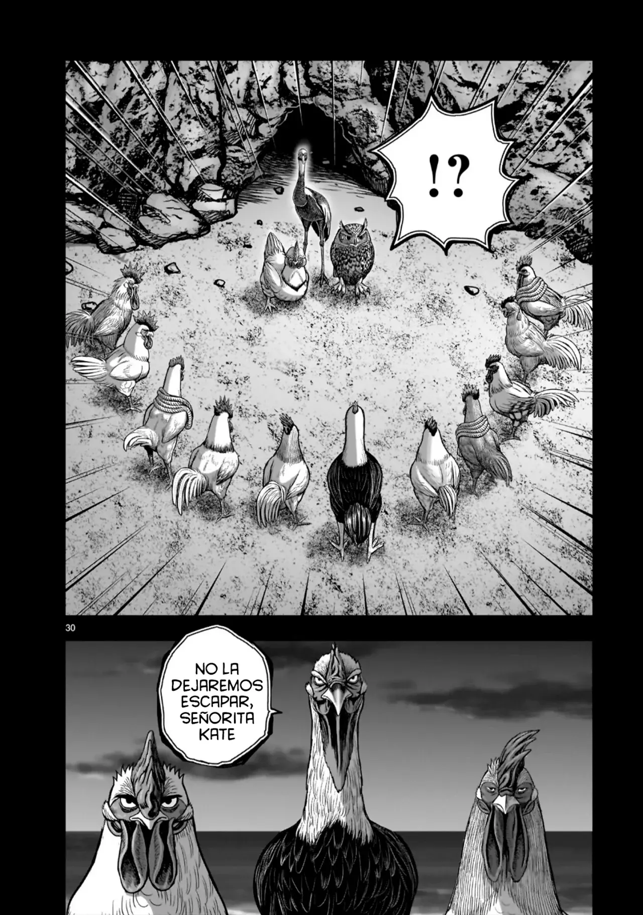 Rooster Fighter capítulo 52 página 34