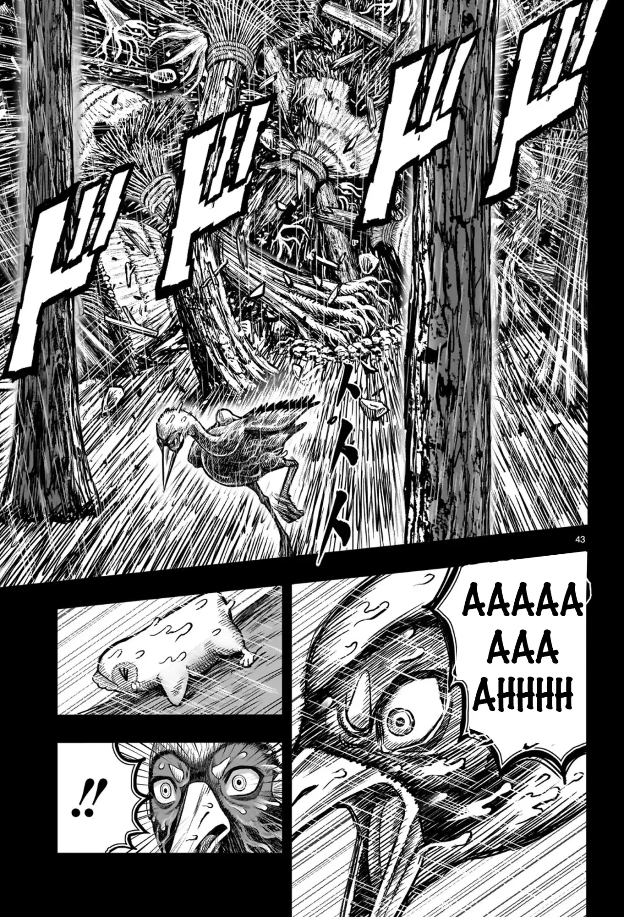 Rooster Fighter capítulo 53 página 47