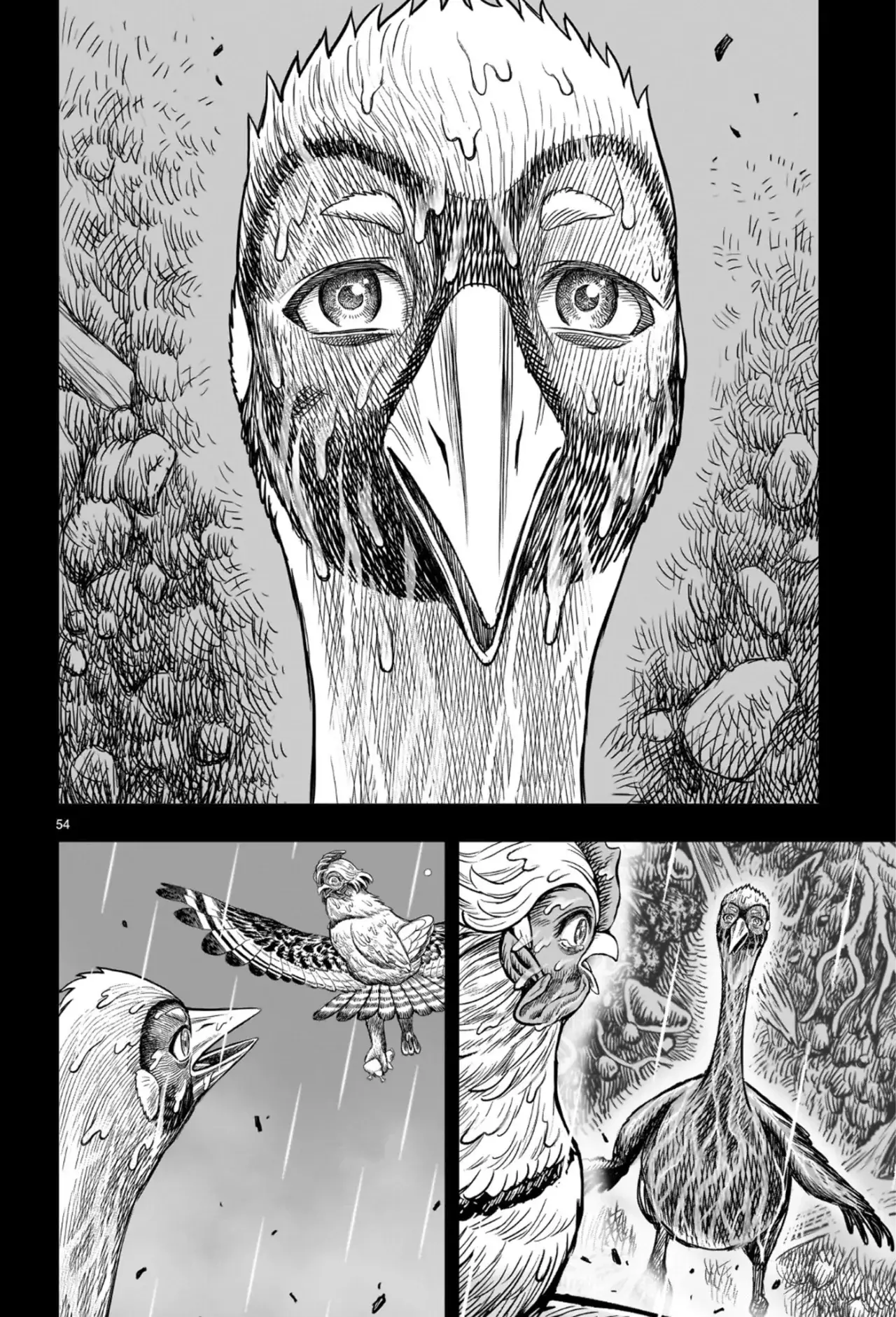 Rooster Fighter capítulo 53 página 58