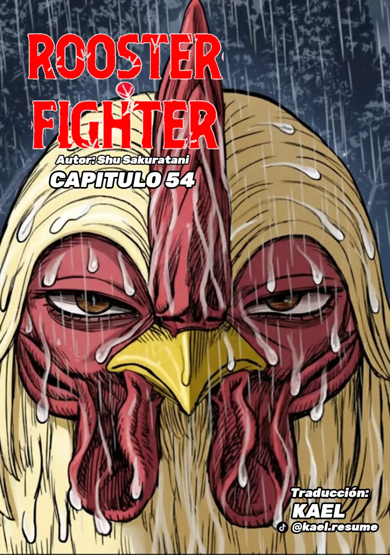 Rooster Fighter capítulo 54 página 4