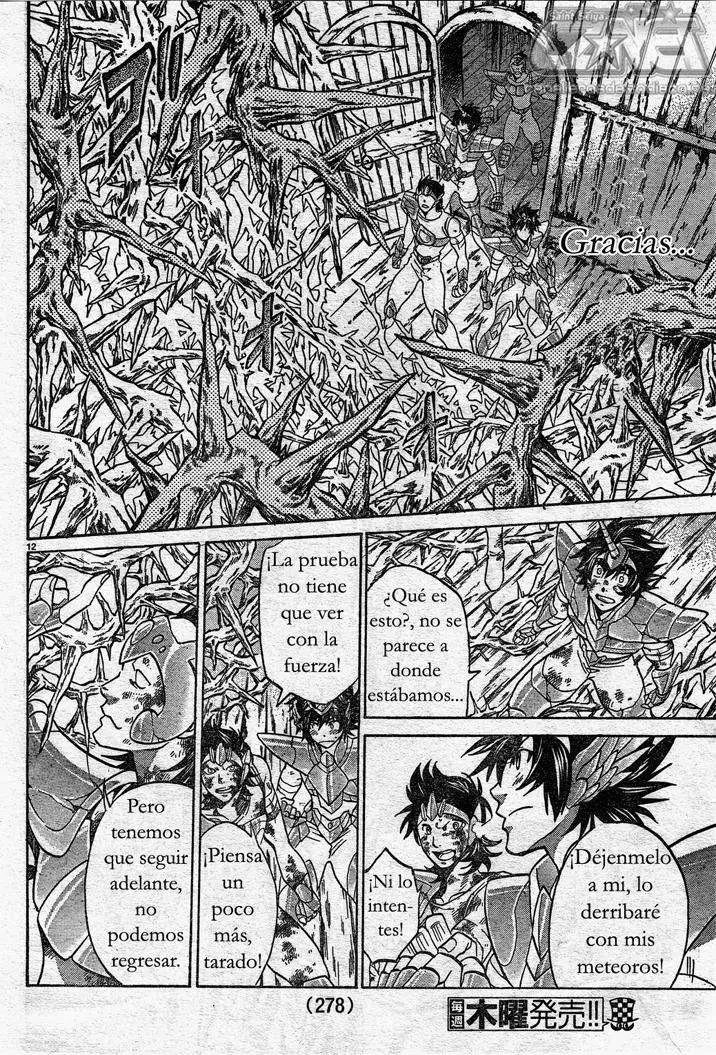Saint Seiya: The Lost Canvas capítulo 124 página 11