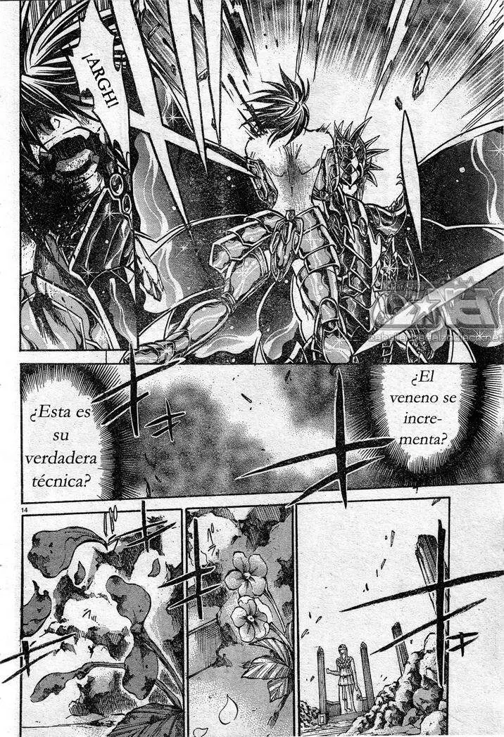Saint Seiya: The Lost Canvas capítulo 149 página 14