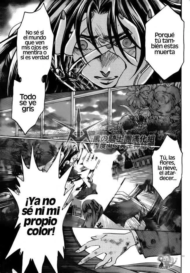 Saint Seiya: The Lost Canvas capítulo 187 página 10
