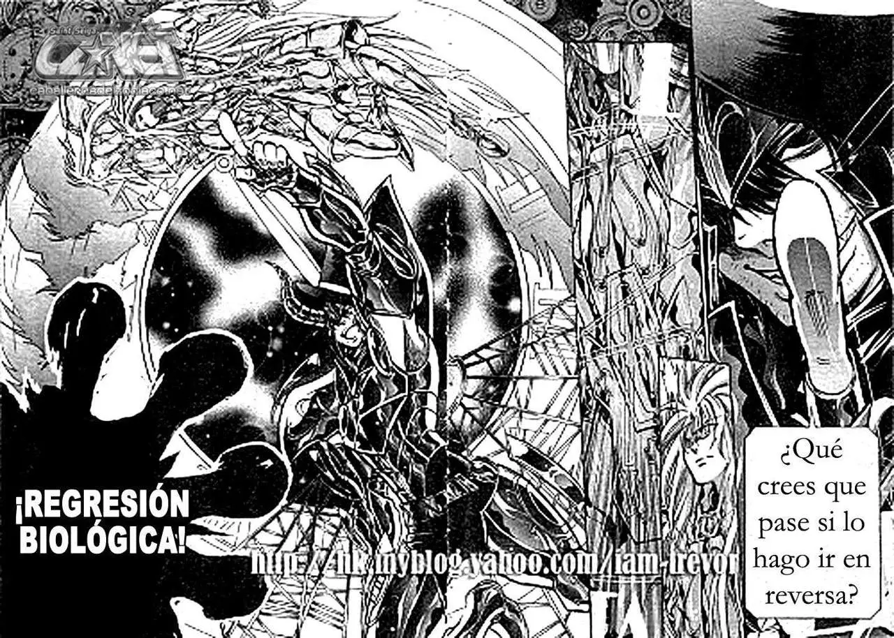 Saint Seiya: The Lost Canvas capítulo 208 página 7