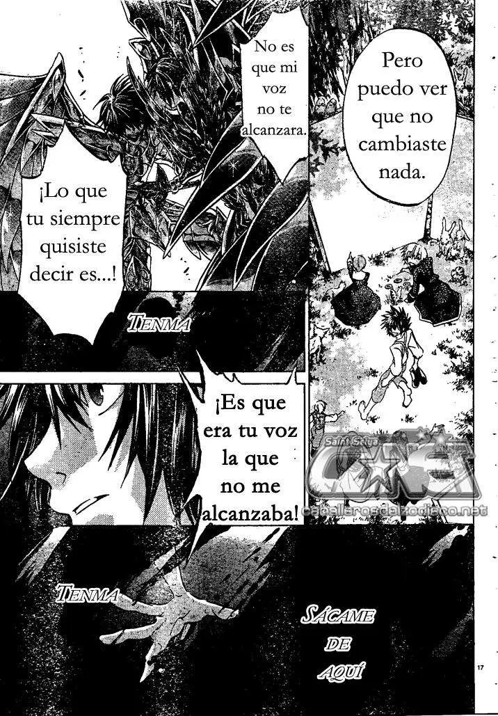 Saint Seiya: The Lost Canvas capítulo 213 página 15