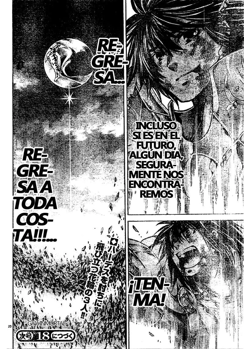 Saint Seiya: The Lost Canvas capítulo 221 página 18