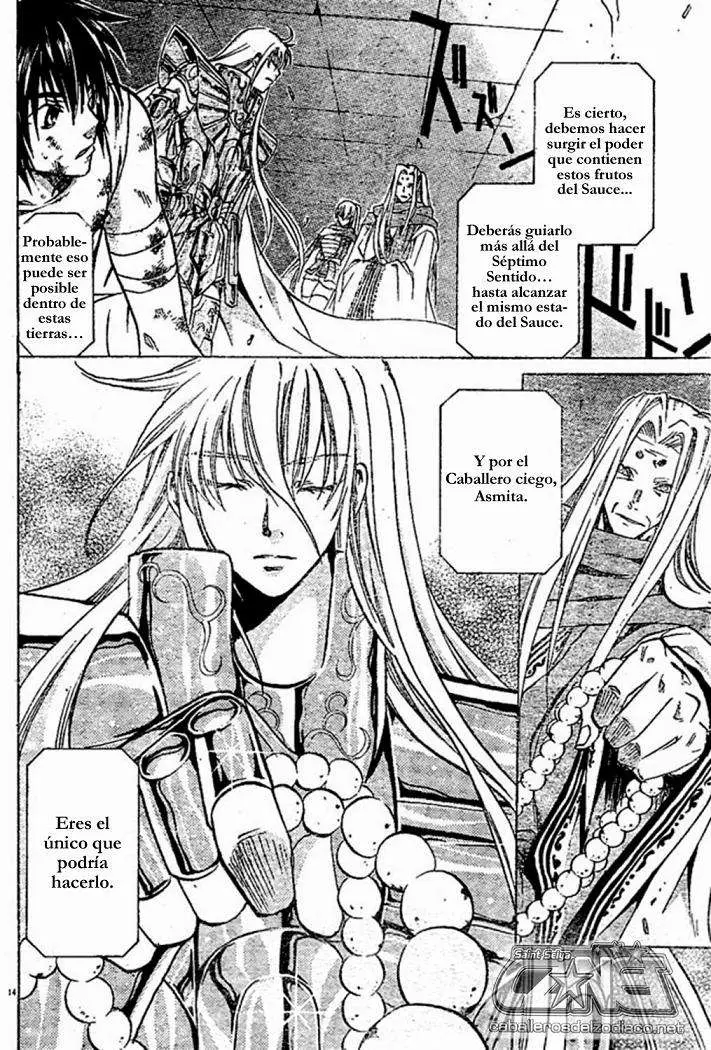 Saint Seiya: The Lost Canvas capítulo 32 página 14