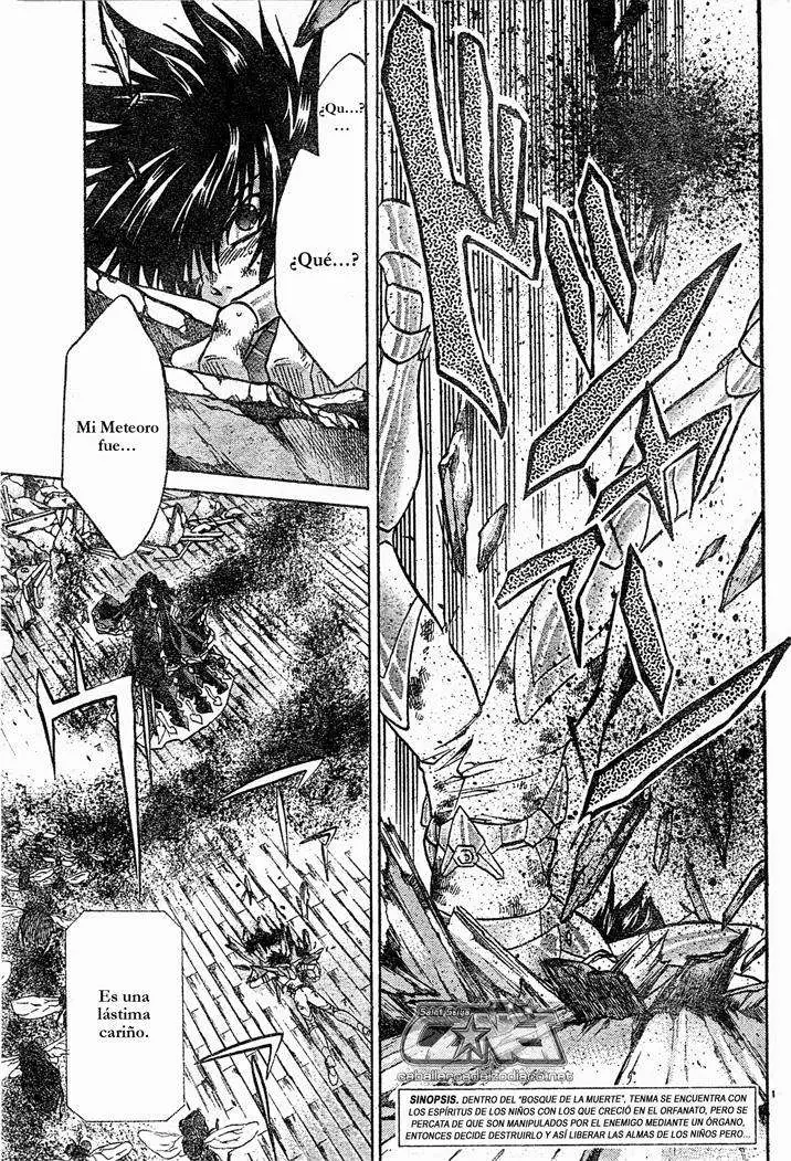 Saint Seiya: The Lost Canvas capítulo 60 página 3