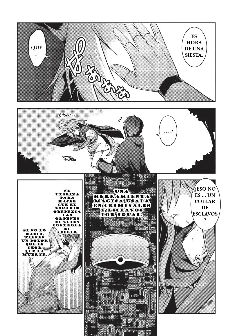 Seirei Gensouki capítulo 16 página 14